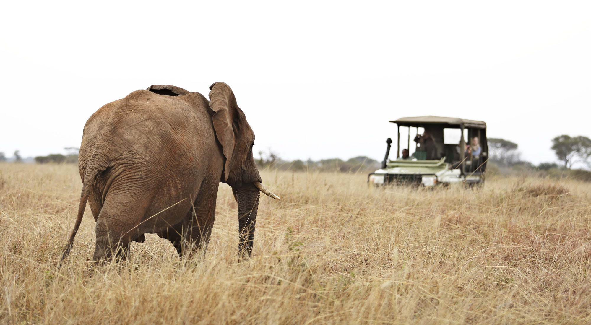 Sustainable Safaris Africa team in the field