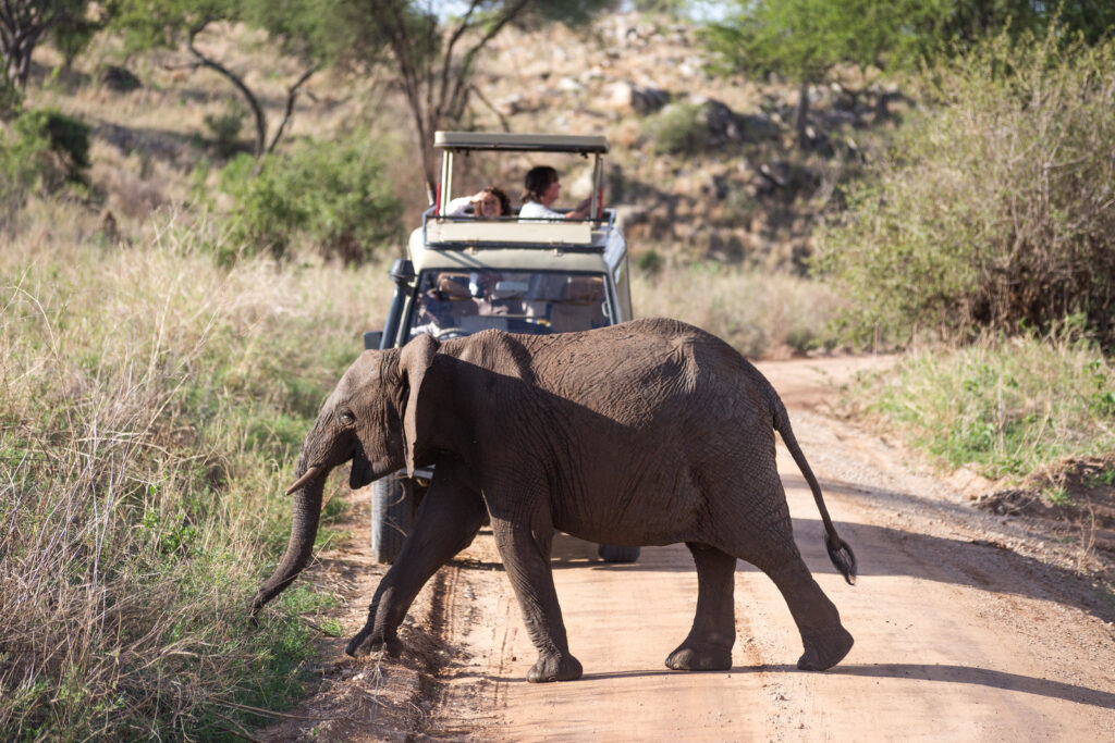 9 DAYS SELOUS, RAHUA AND MIKUMI THE SOUTHERN NATOINAL PARK OF TANZANIA